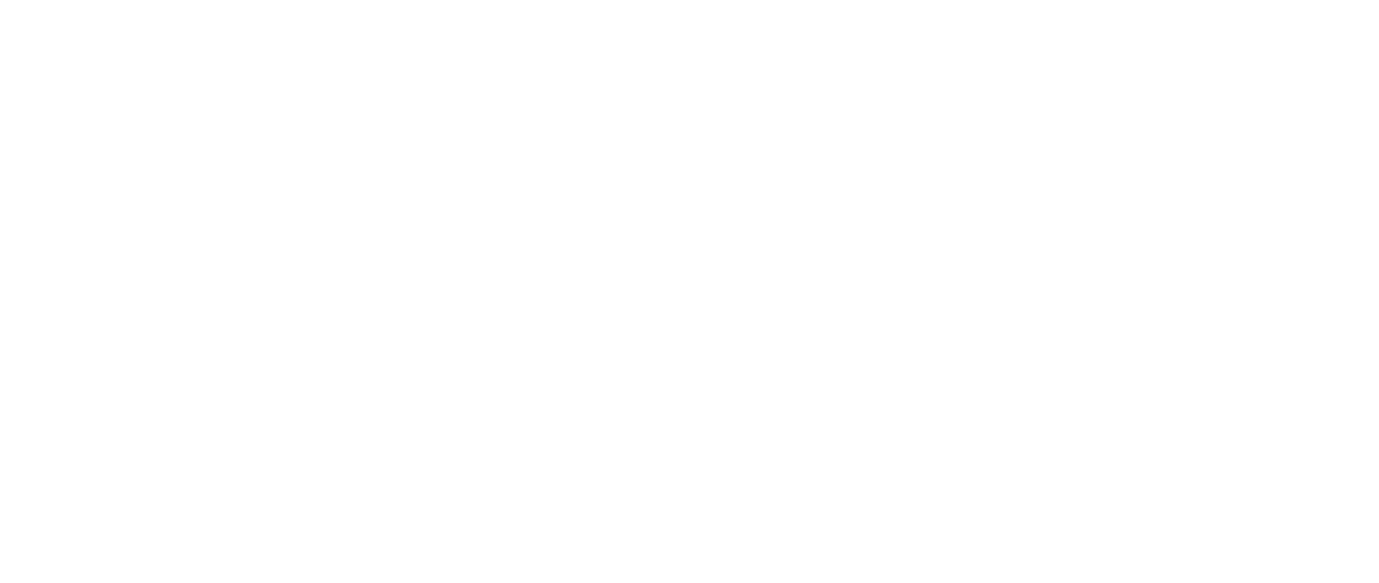 Viski Studios